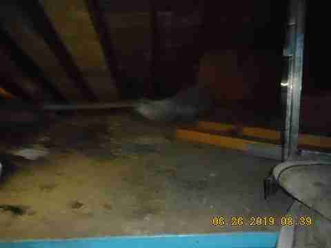 16184 Strathmoor (27)_m.jpg